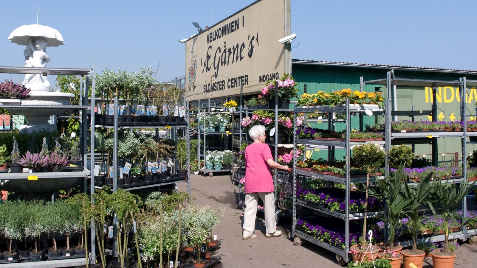 Outside Gaarrne Garden Center woman looks at plants and flowers