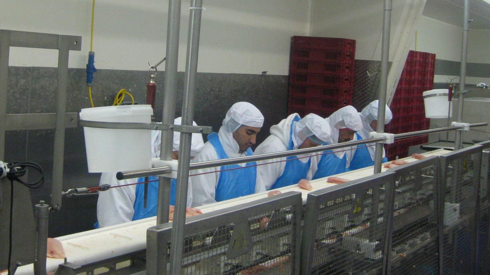 Scheria employees slice chicken at assembly line